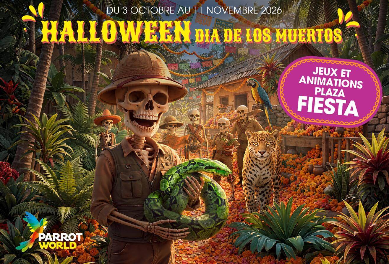 Dia de los Muertos Halloween à Parrot World