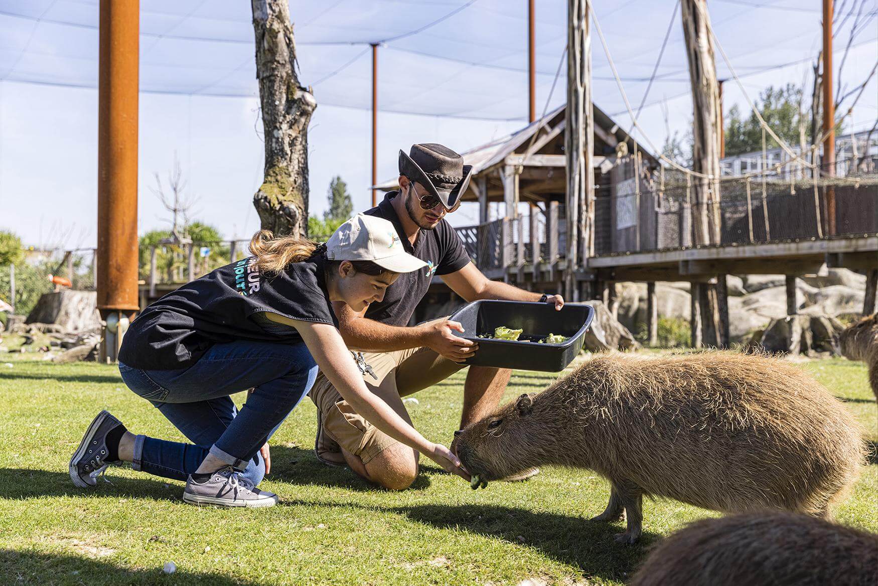 Parrot World - Soigneur d'un Jour 3 ©Ronan ROCHER