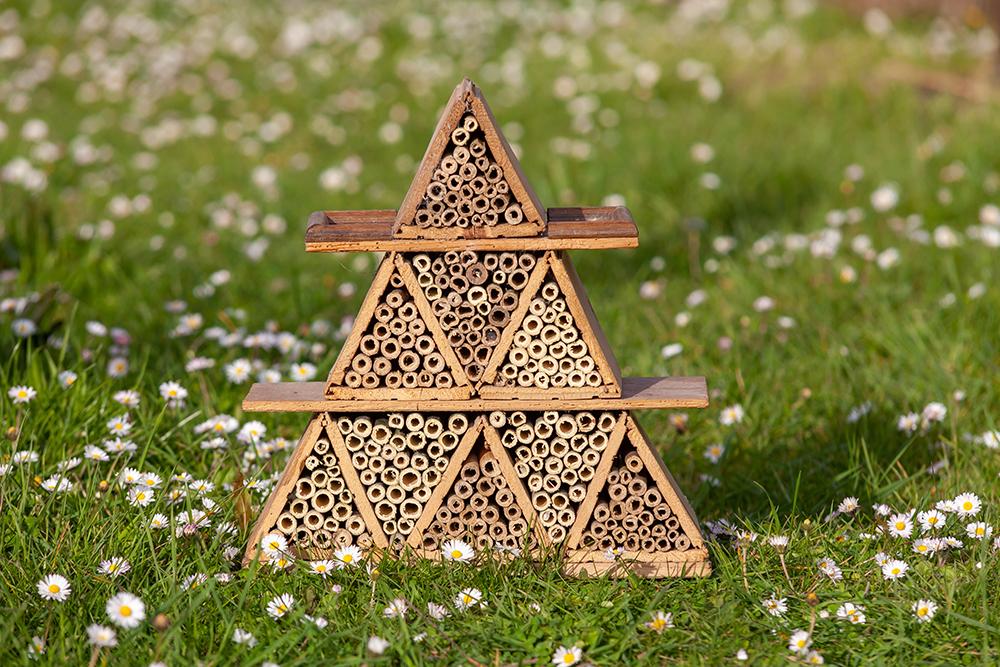 Chemin de la biodiversité 