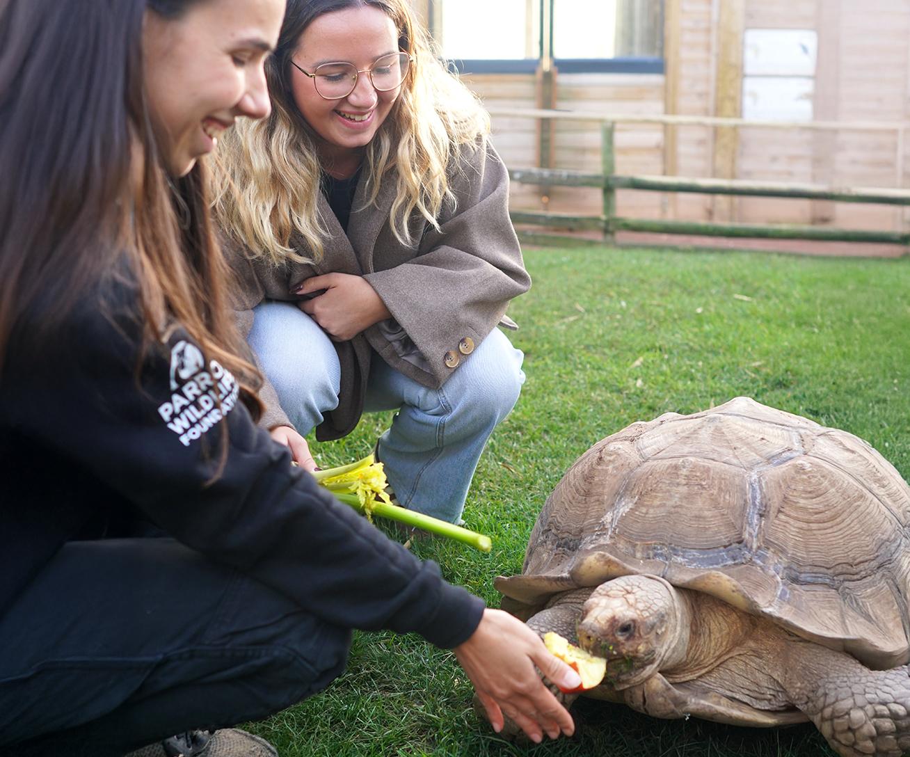 Activité insolite - Île-de-France - Nourrir les Tortues - Parrot World 3