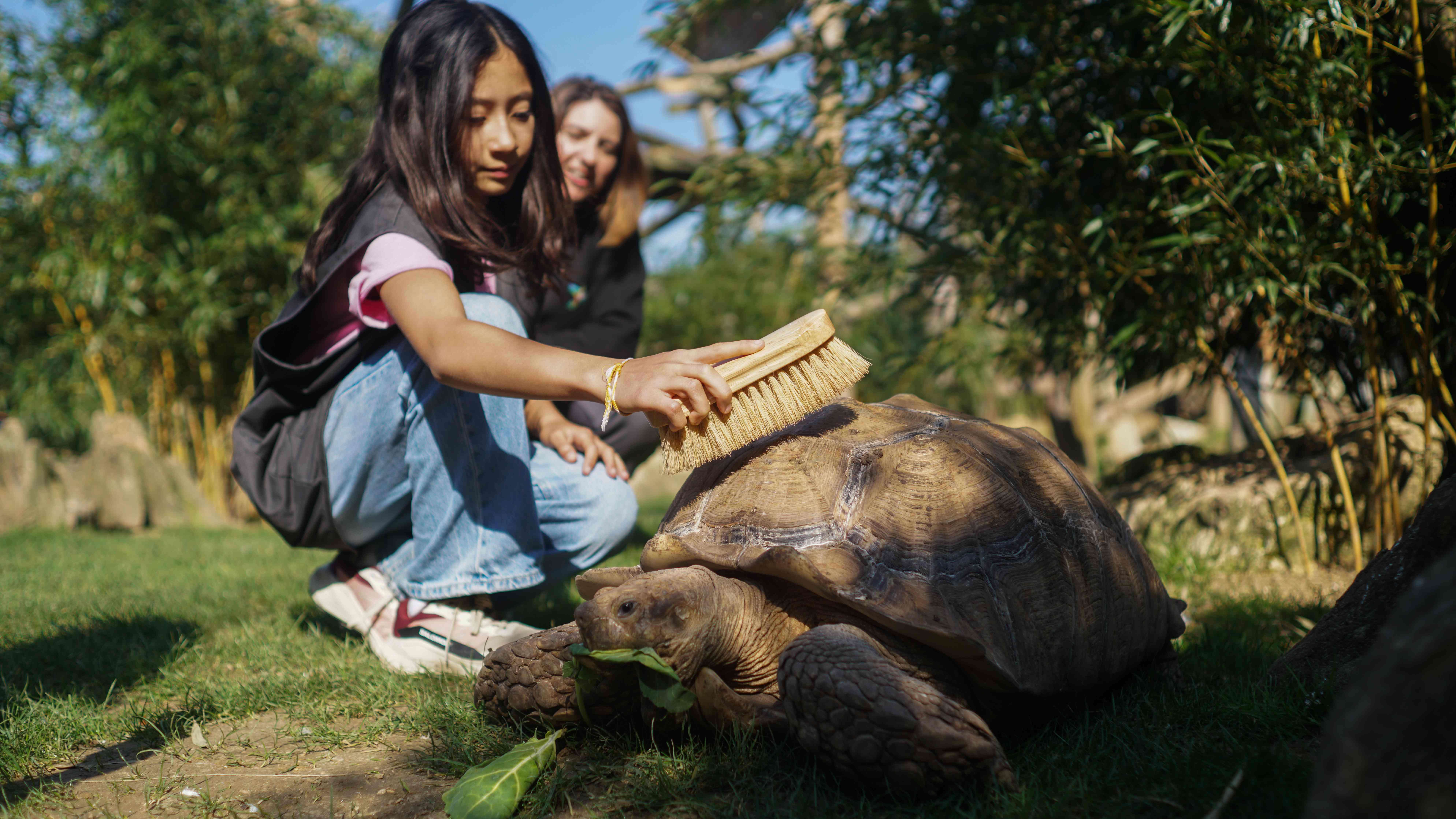 Parrot World parc animalier immersif acivité insolite nourrir les tortues