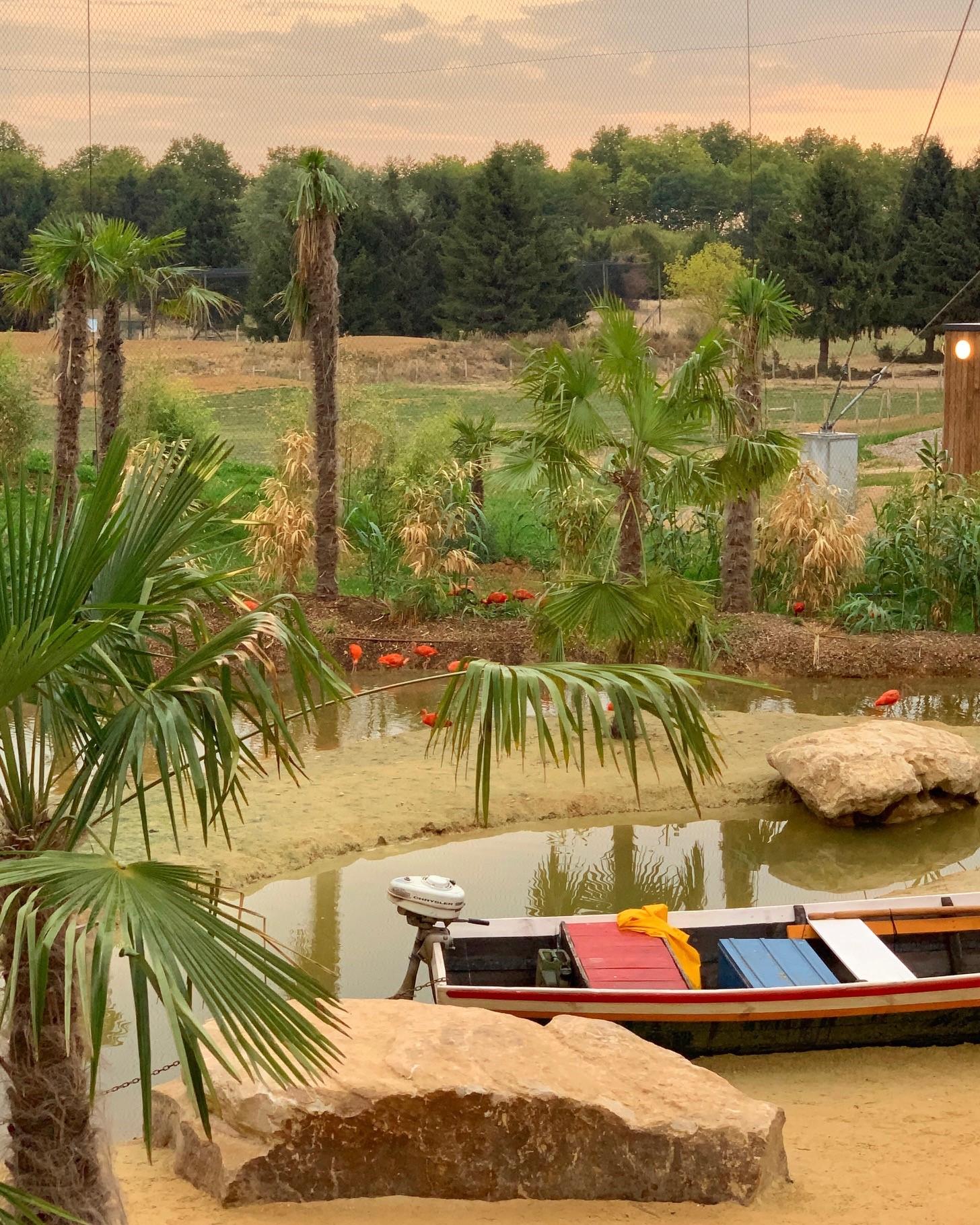 lodge pantanal vue parrot world