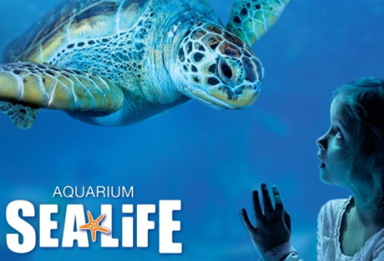 Aquarium Sea Life - Que faire autour de Disneyland Paris - Le Guide Complet