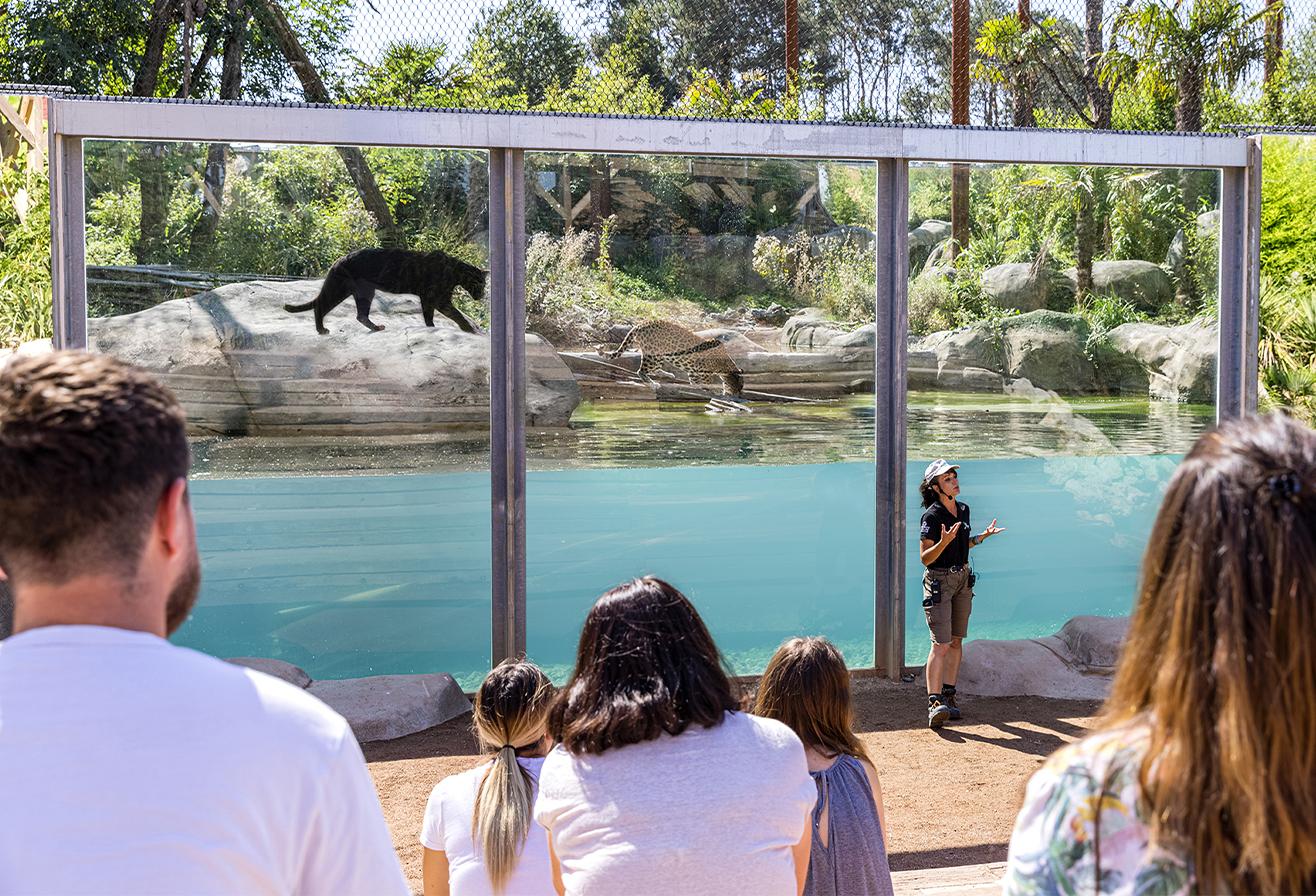 Accueil de loisirs et groupe en Île-de-France 77 - Parc animalier immersif Parrot World - Animation pédagogique gratuite