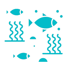 Sea Life aquarium icoon
