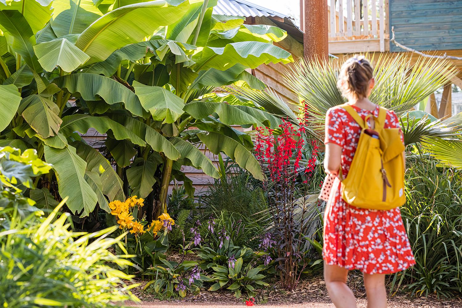 Parrot World - Amazonia Trek 10 ©Ronan ROCHER