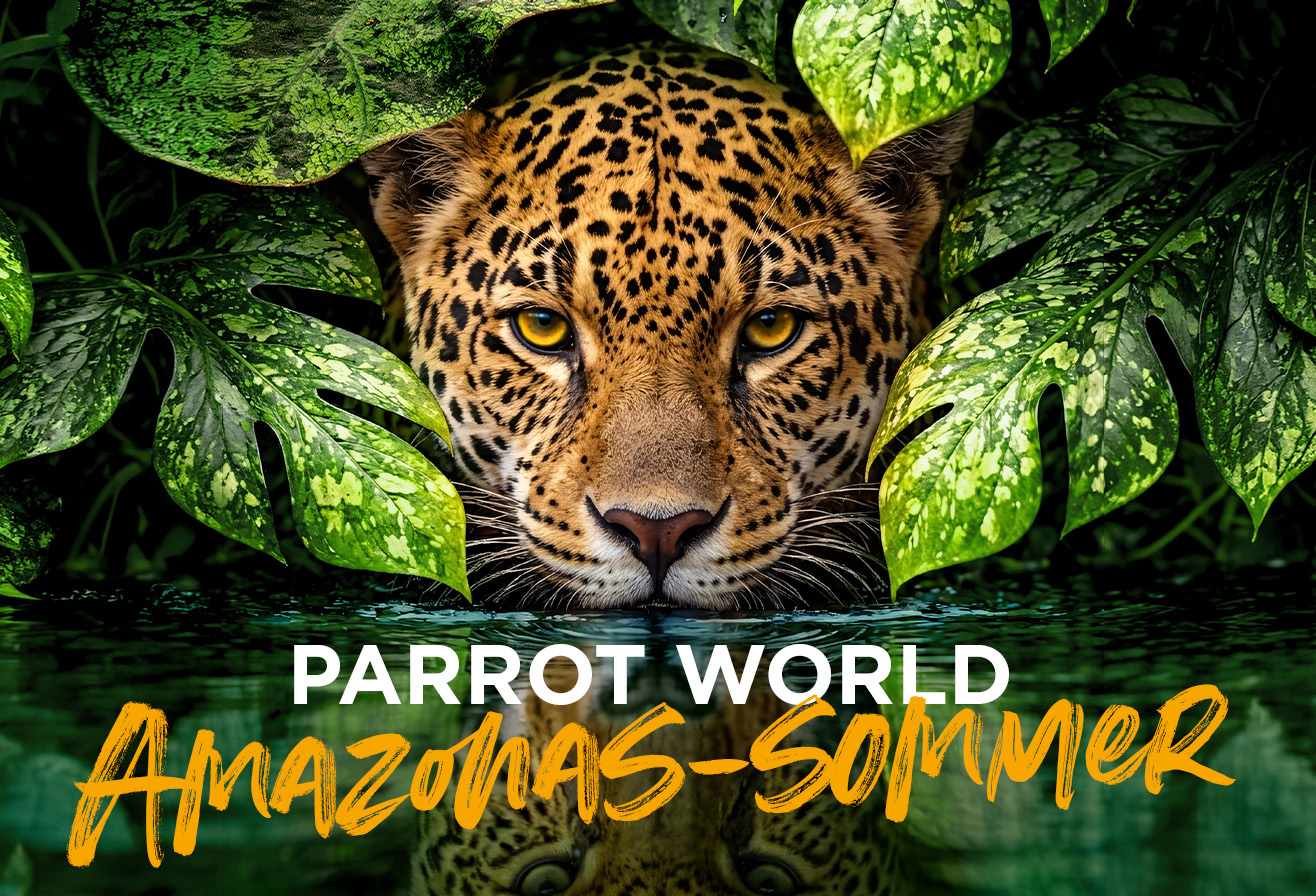 Amazonas-Sommer bei Parrot World – Ein faszinierendes Eintauchen in der Nähe des Disneyland Paris 2
