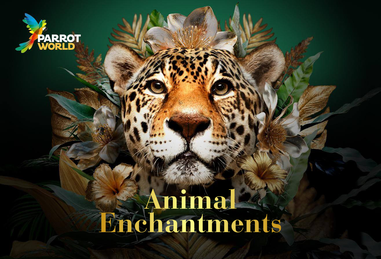 Animal enchantments