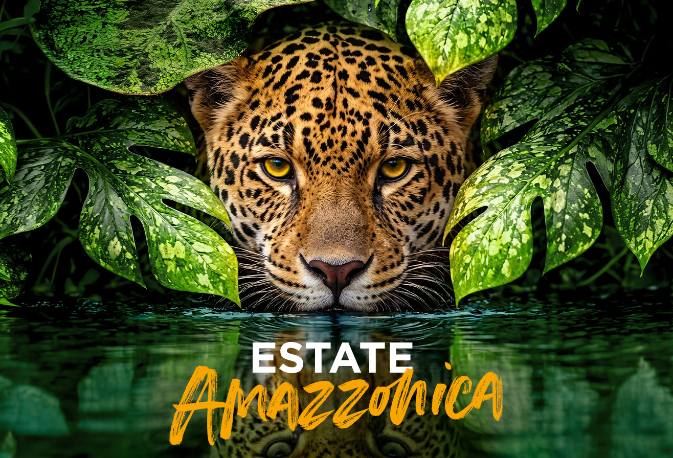 Estate Amazzonica a Parrot World – Un'immersione affascinante vicino a Disneyland Paris 2