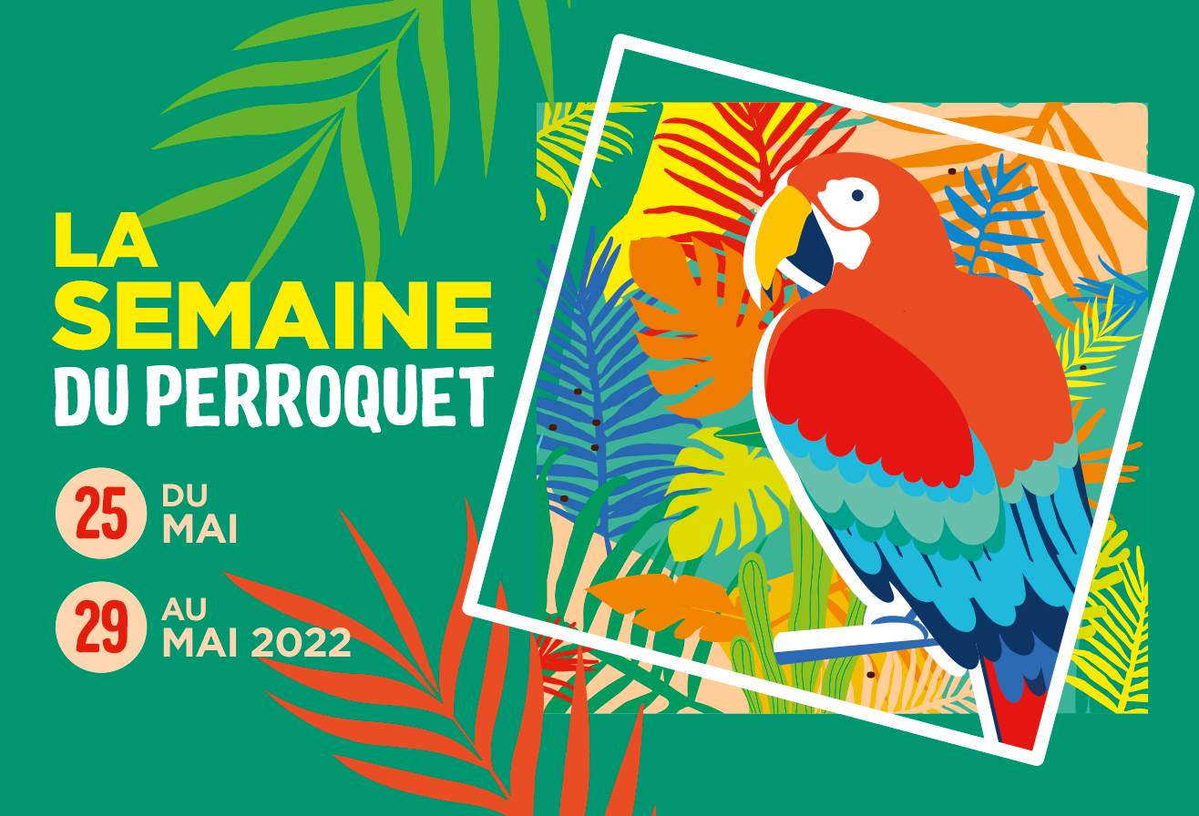 Parrot World semaine du perroquet 2022