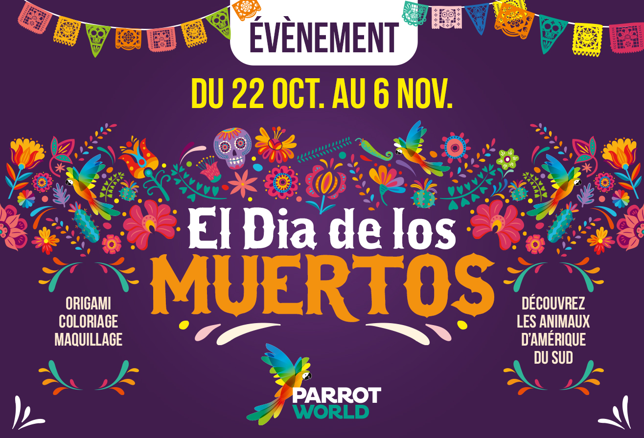 Dia de los Muertos 2022