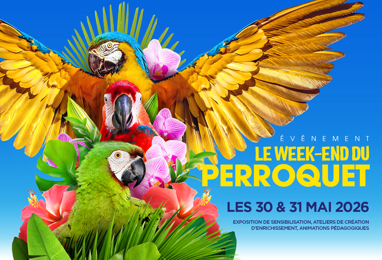 Week-end Du Perroquet 2026 à Parrot World