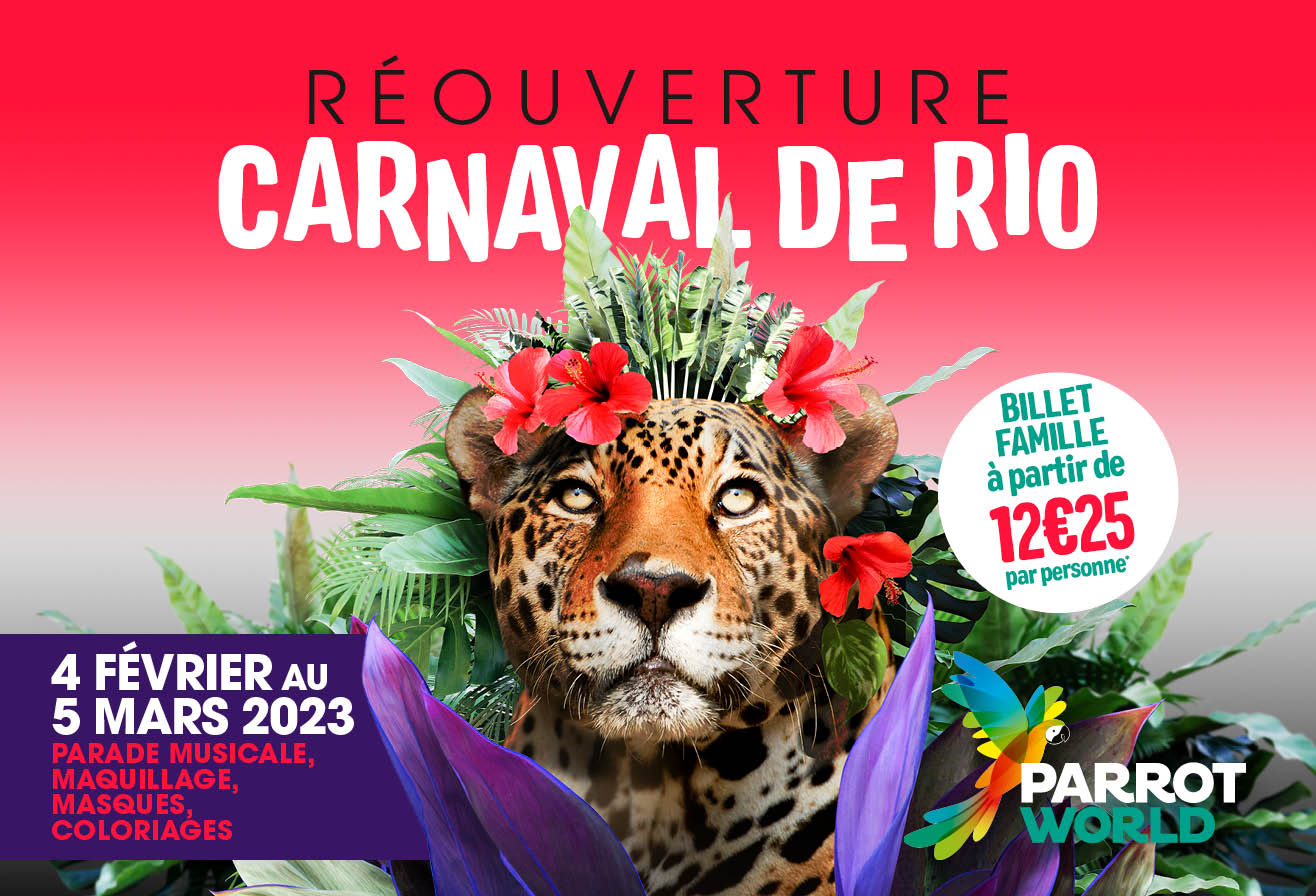 PARROT WORLD Carnaval de Rio Encart Push.png