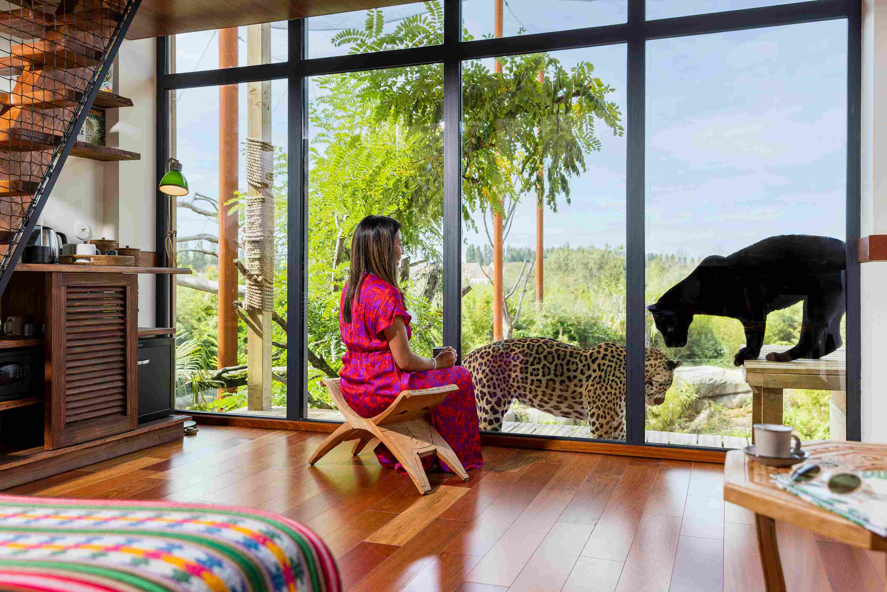 Lodge Jaguars