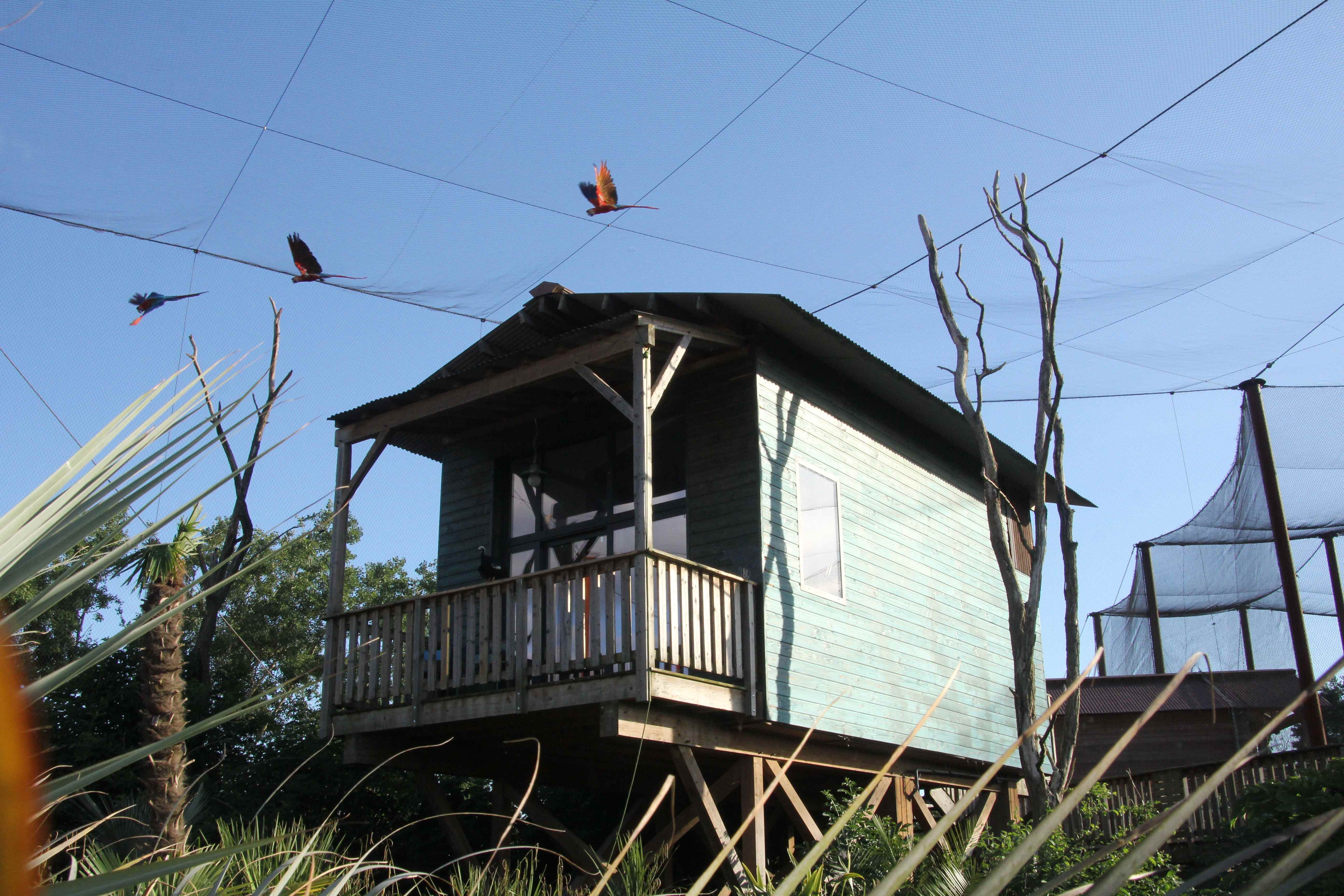 Parrot World - Lodge Amazone