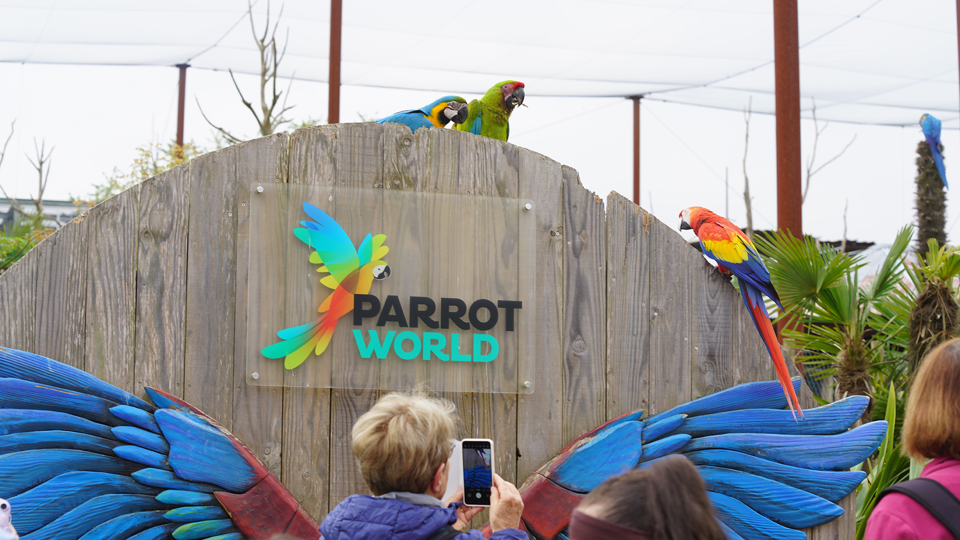 Parrot World parc animalier immersif - Volière géante d'Amazonie - Groupe face à des perroquets - Que faire autour de Disneyland Paris - Le Guide Complet