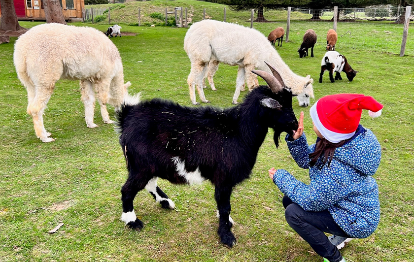 Ranch des enfants 
