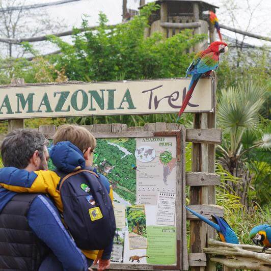 Chasse aux oeufs 2026 - Parc animalier immersif proche du 93 - Parrot World décor Amérique du Sud