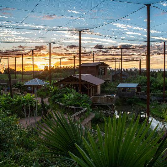 Soirée nocturne à Parrot World