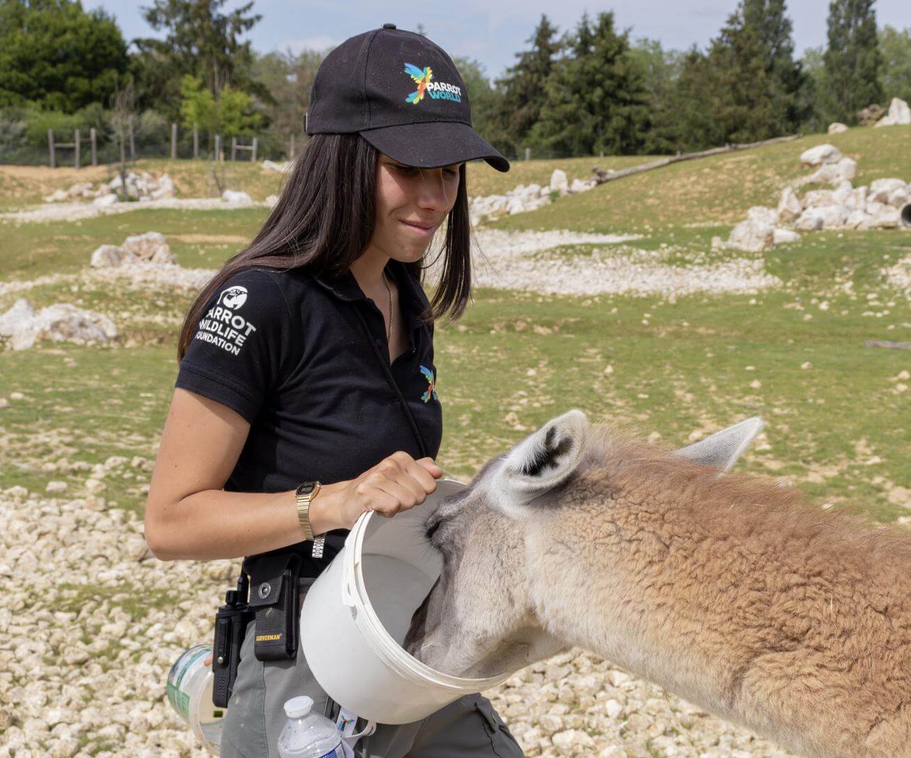 Soigneur animalier Parrot World - 1