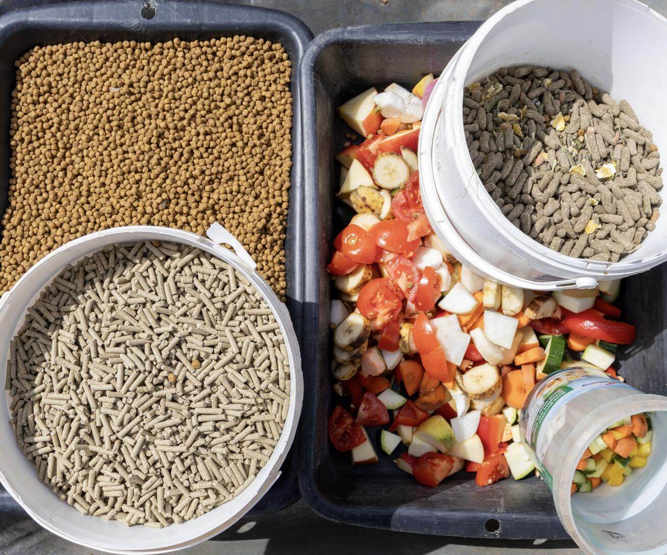 Soigneur animalier Parrot World - 6