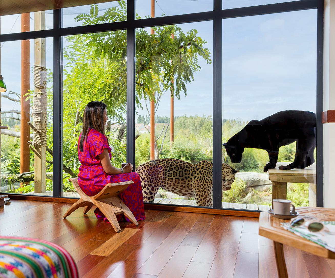 Parrot World - Lodge 1 ©Ronan ROCHER