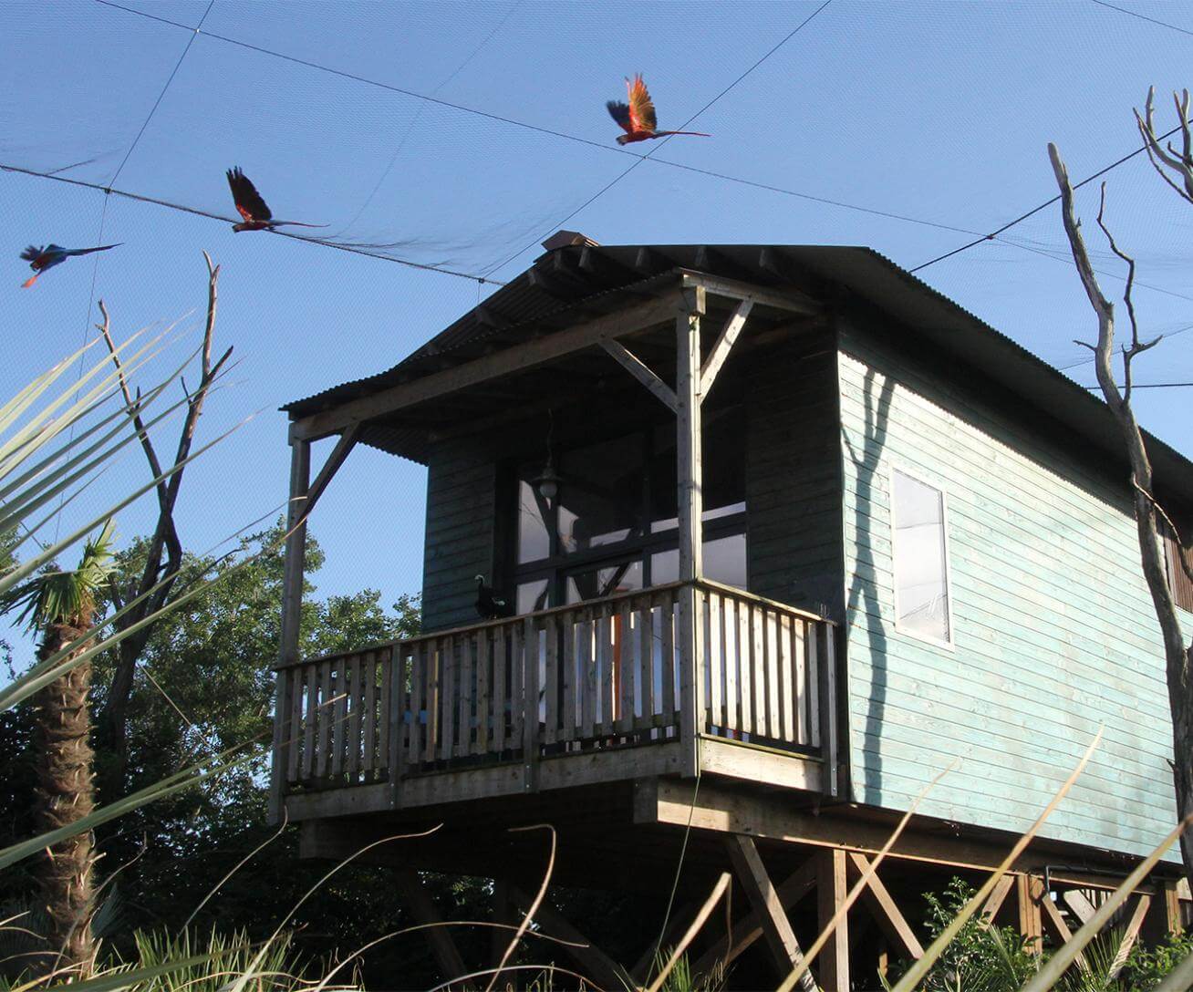 Parrot World - Lodge Amazonie - Dormir avec les animaux près de Paris