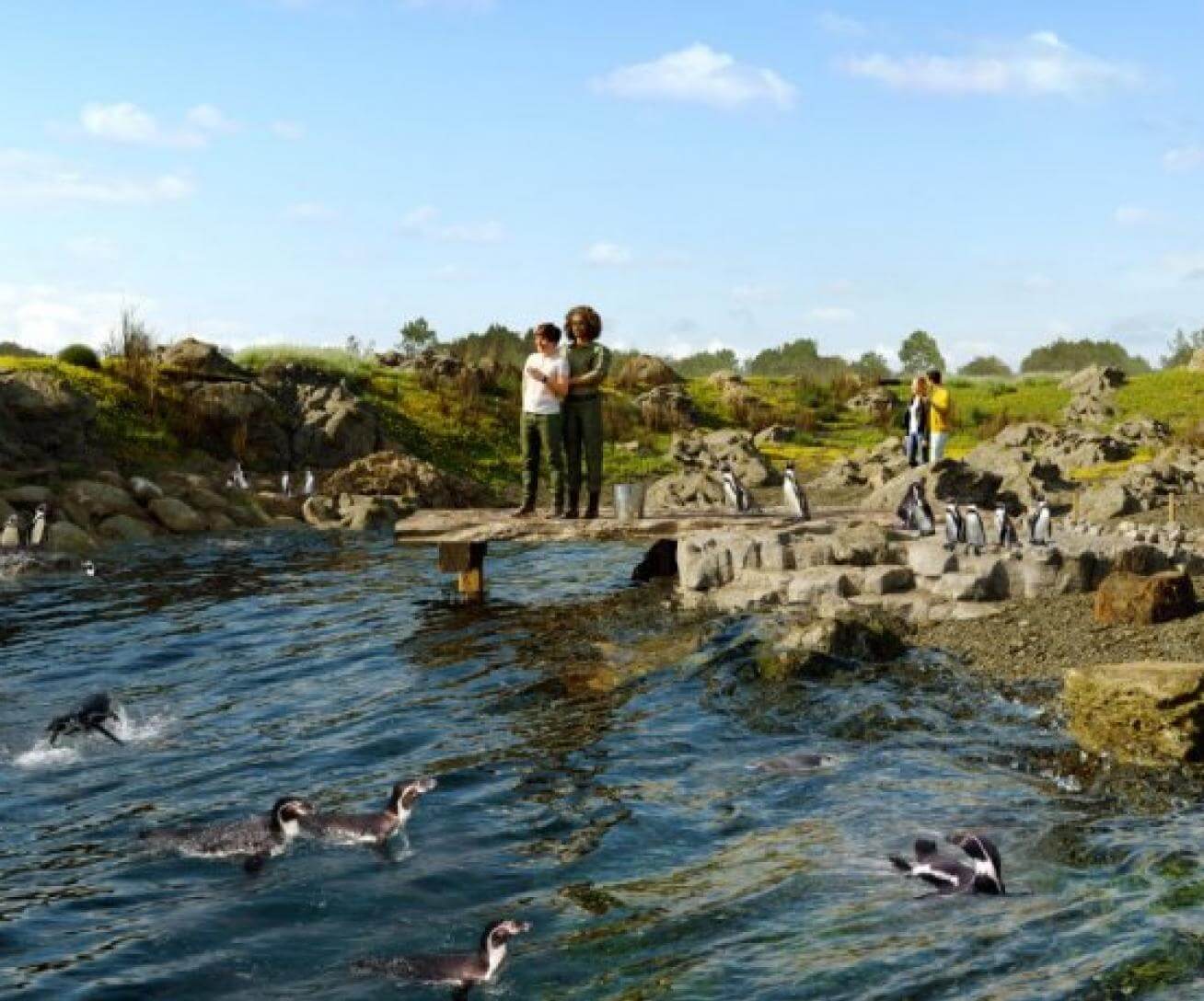 Sentier des manchots au parc animalier immersif Parrot World