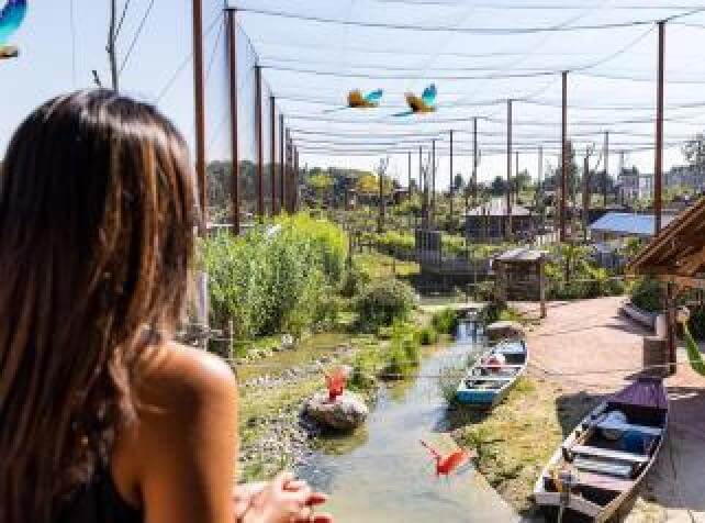 Lodge immersif face aux animaux près de Paris