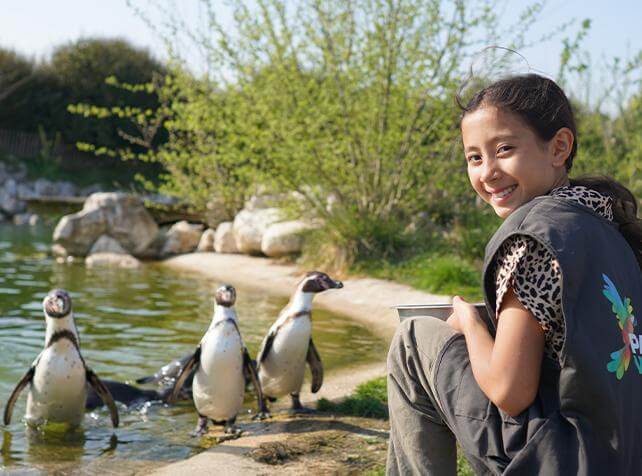 Activités en Île-de-France pour approcher les animaux - Manchots - Nourrir les Manchots - Parrot World
