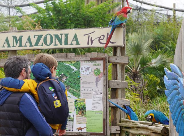 Familia en inmersión total en el aviario gigante de Amazonía rodeada de loros, en Parrot World cerca de Disneyland París
