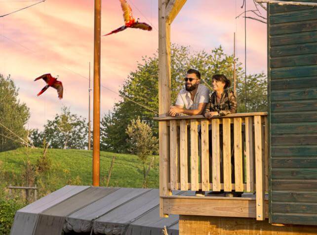 Hébergement insolite à Parrot World avec vue directe sur les perroquets, pour vivre une nuit immersive et dormir avec les animaux en France