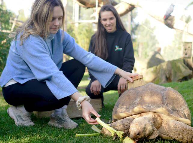 Nourrir les Tortue 1 - Sortie immersive Île-de-France