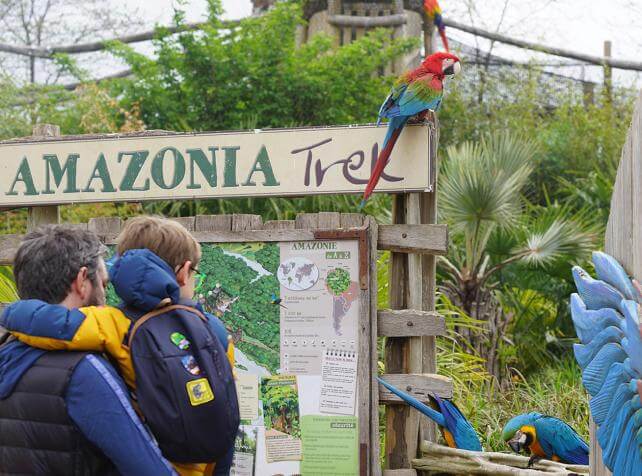 Parc animalier immersif proche de Paris Parrot World décor Amérique du Sud