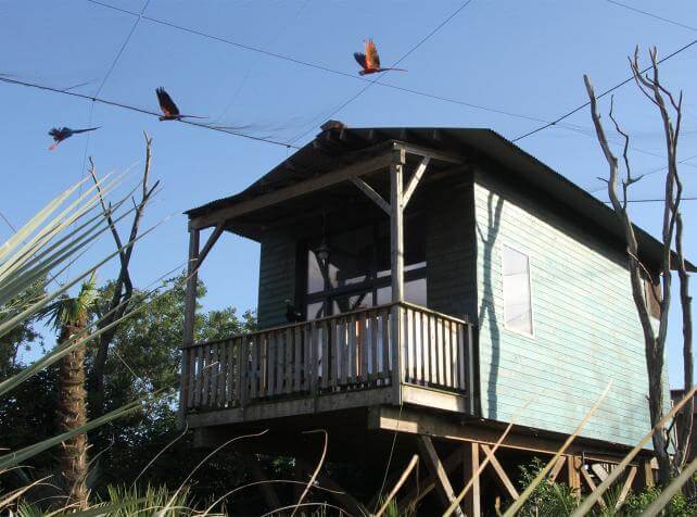 Parrot World - Lodge Amazonie - Dormir avec les animaux près de Paris
