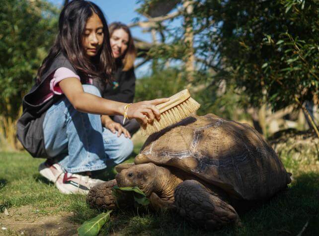 Parrot World parc animalier immersif acivité insolite nourrir les tortues