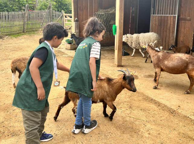 Soigneur en Herbe - moutons - Parrot World