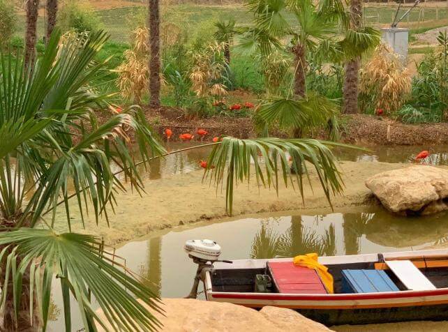 lodge pantanal vue parrot world