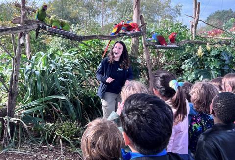 Sortie scolaire parc animalier Parrot World - Animation pédagogique