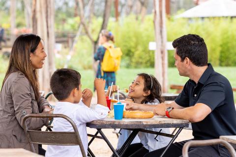 Camp de Base restauration à Parrot World. Le parc animalier immersif proche de Paris - Décor Amérique du Sud - Que faire pendant les vacances d'été 2026 en Île-de-France ?