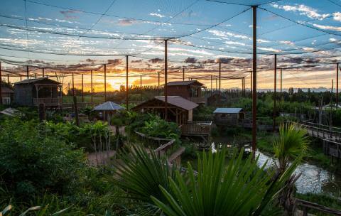 Couché de soleil à Parrot World 77 - Que faire pour le pont de l'Ascension 2026 en Île-de-France