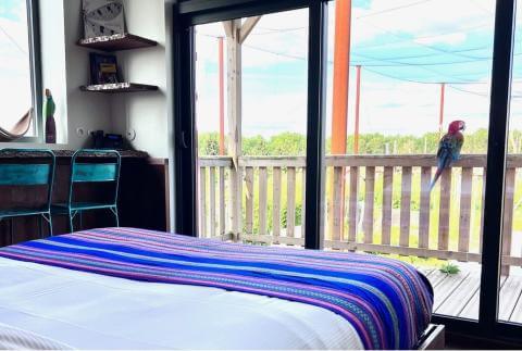 Parrot World - lodge amazonie perroquets