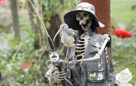 Dia De Los Muertos 2025 - Exposition de dinosaures à Parrot World 2025