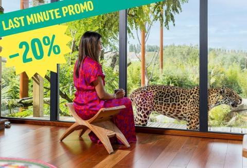 LAST MINUTE PROMO LODGES
