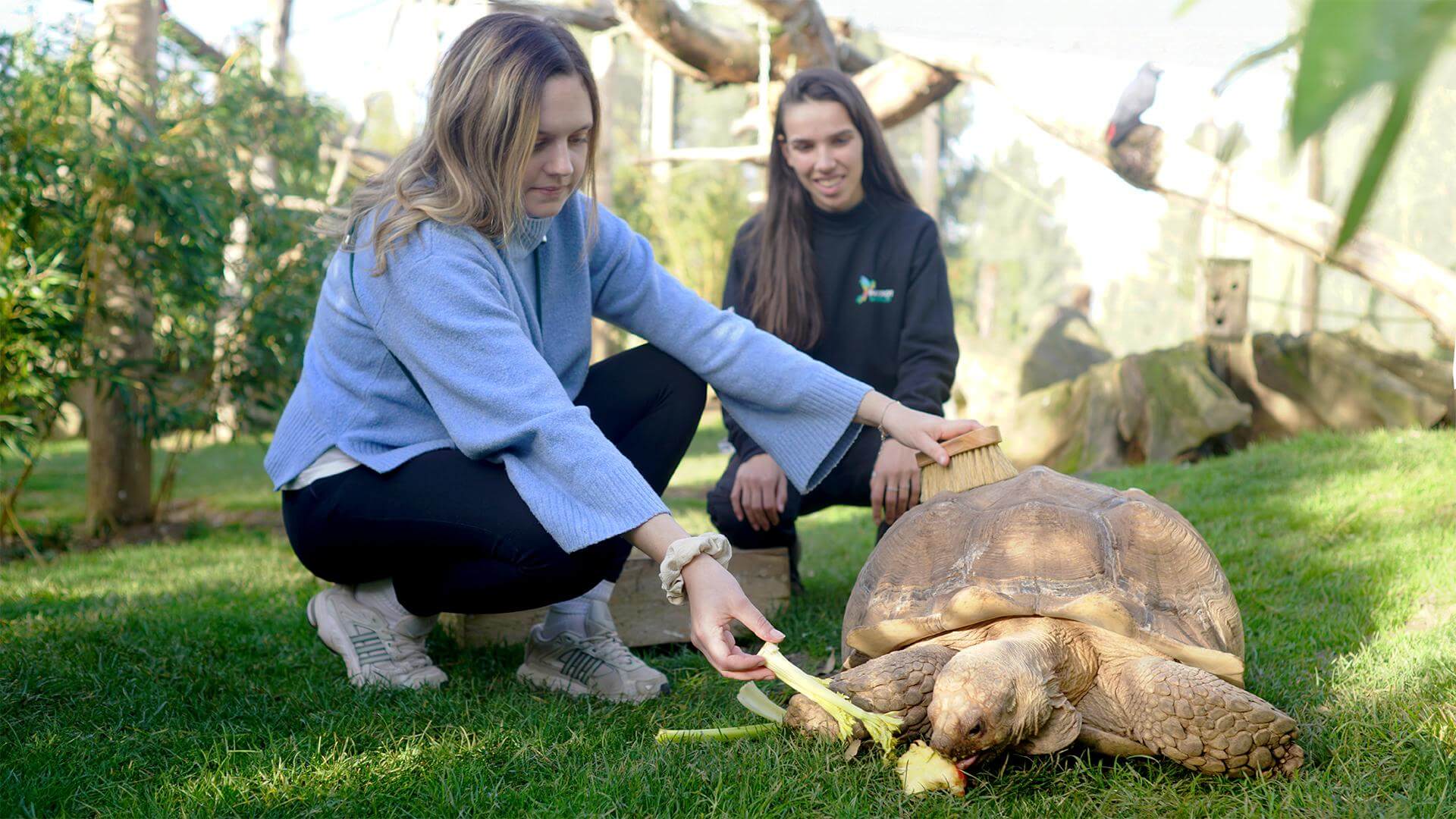 Où approcher des animaux en Île-de-France | Sorties en famille