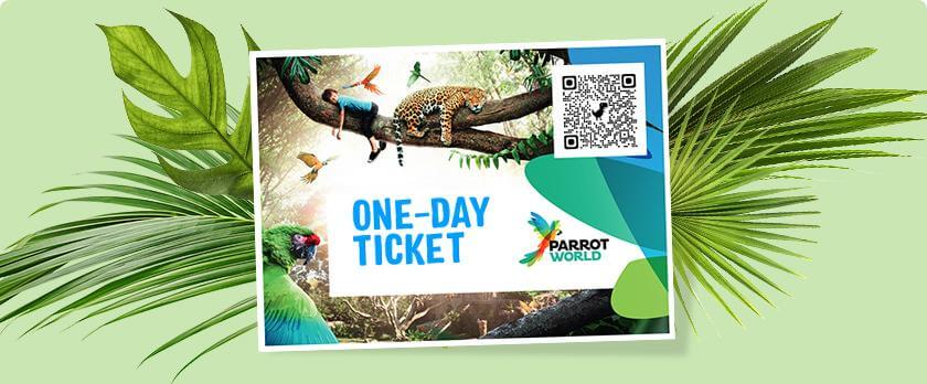 One day ticket Parrot World