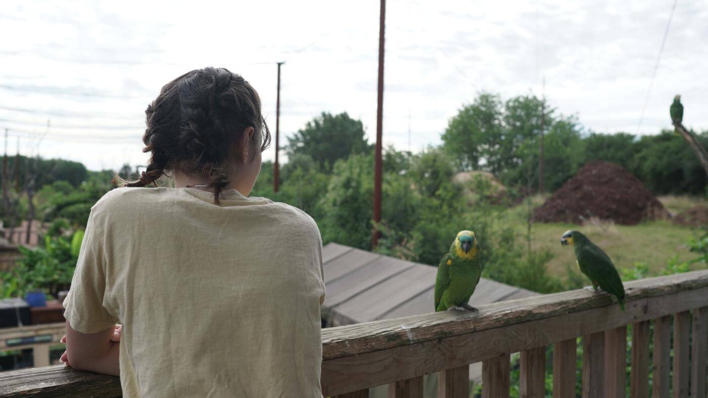Parrot World-Balcon lodge amazonie2
