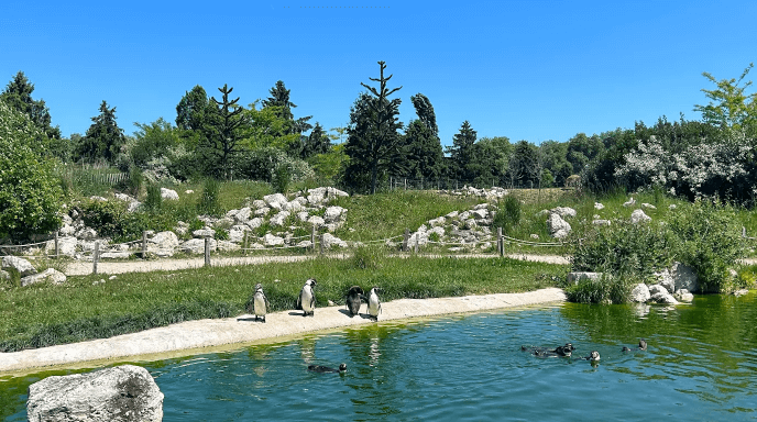 Parrot world - avis 4
