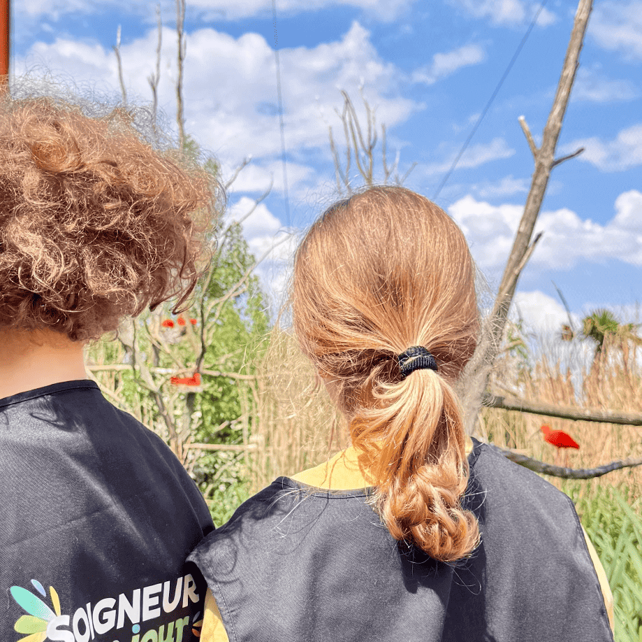 Parrot world - avis 5
