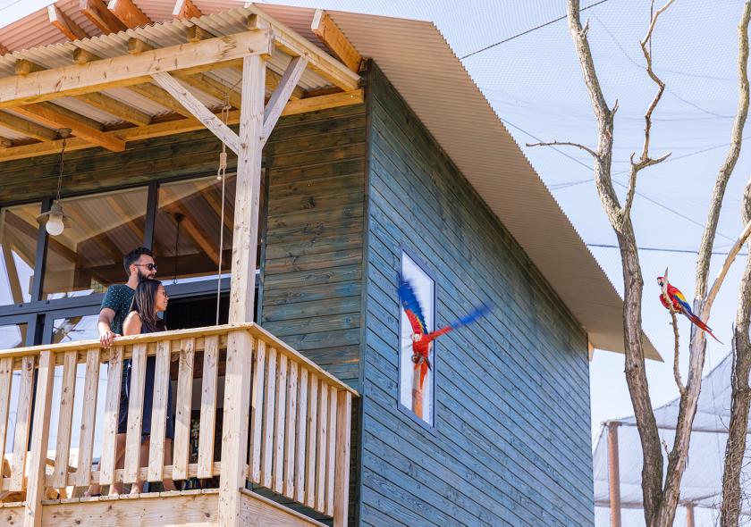 Parrot World - Vue Lodge 1 ©Ronan ROCHER